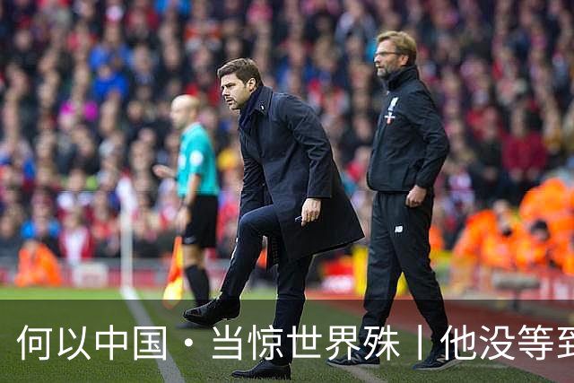 何以中国·当惊世界殊丨他没等到的高峡平湖,我们替他看见了