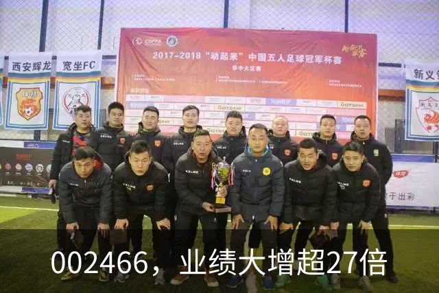 002466，业绩大增超27倍